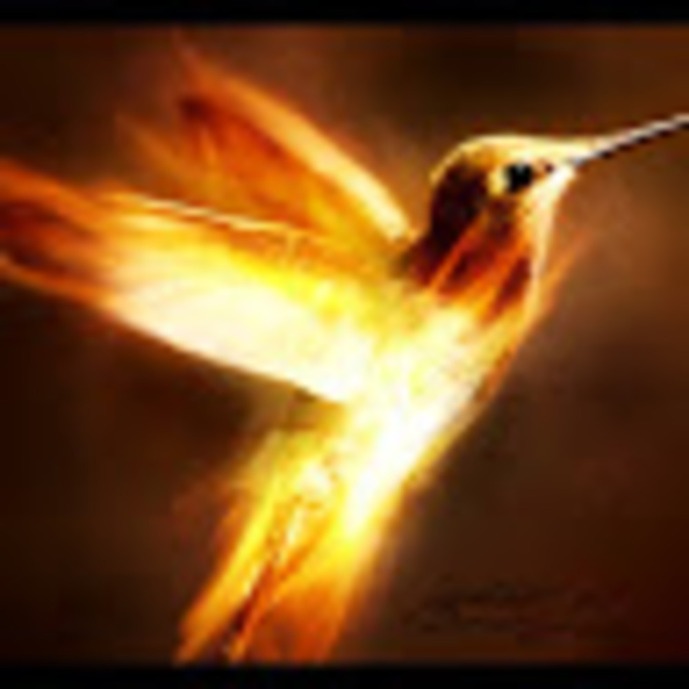 Meet your Posher, Audrey